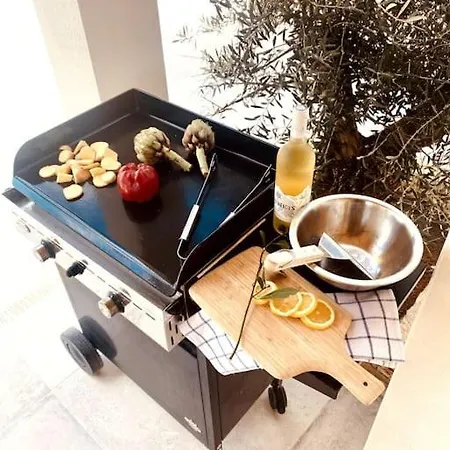 Moderne Entre Centre Et Nature * ニーム